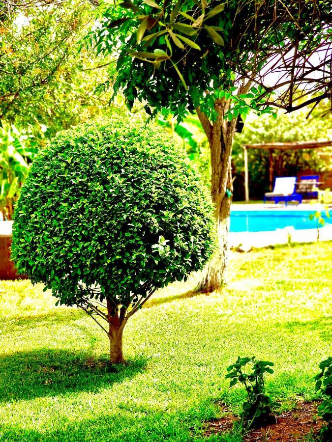 Le Domaine De Carole Marrakech Bed and Breakfast Douar Akkara Buitenkant foto