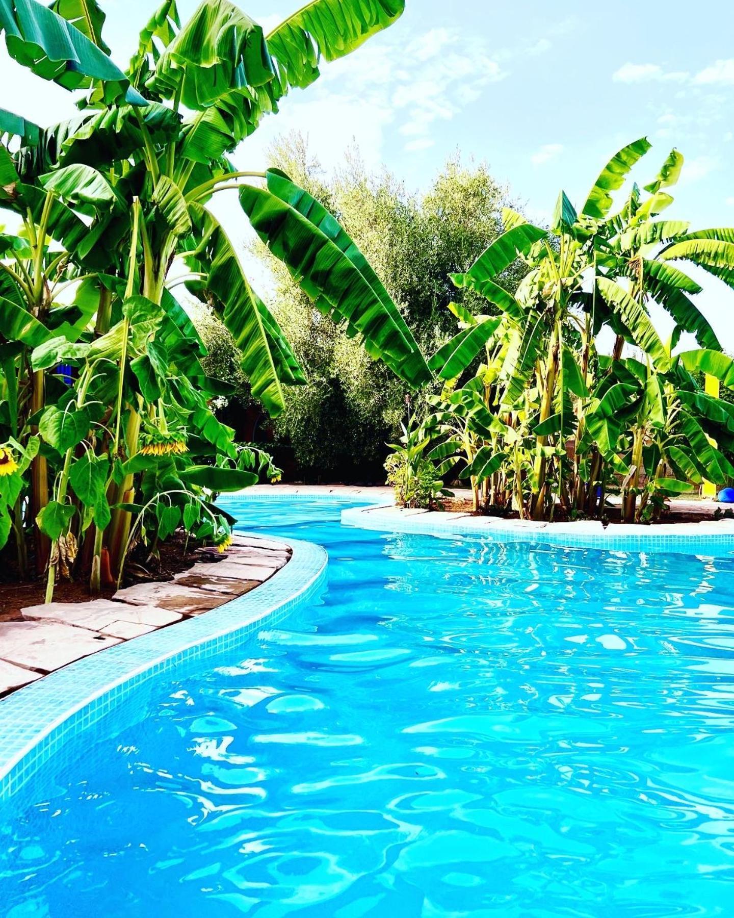 Le Domaine De Carole Marrakech Bed and Breakfast Douar Akkara Buitenkant foto