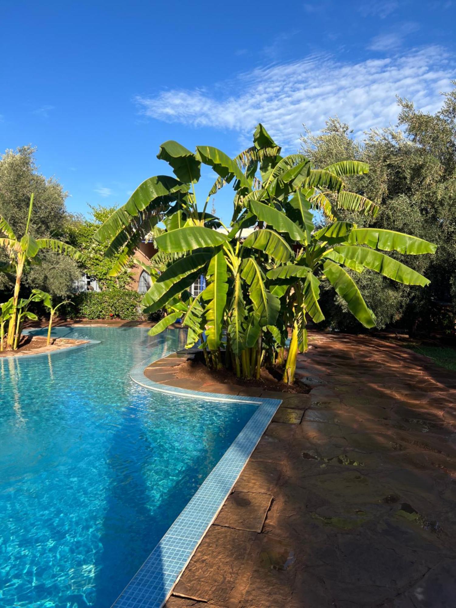 Le Domaine De Carole Marrakech Bed and Breakfast Douar Akkara Buitenkant foto