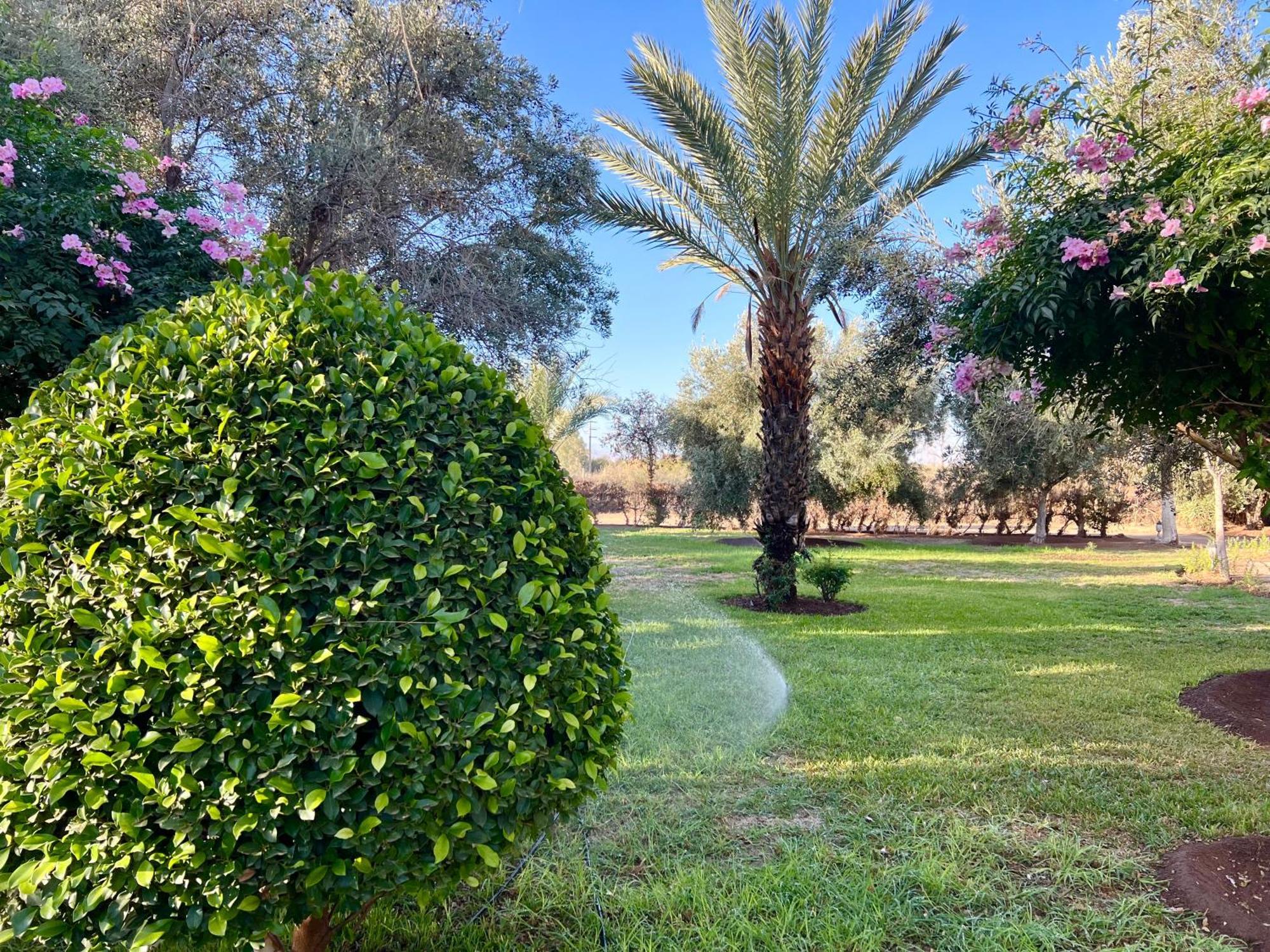 Le Domaine De Carole Marrakech Bed and Breakfast Douar Akkara Buitenkant foto