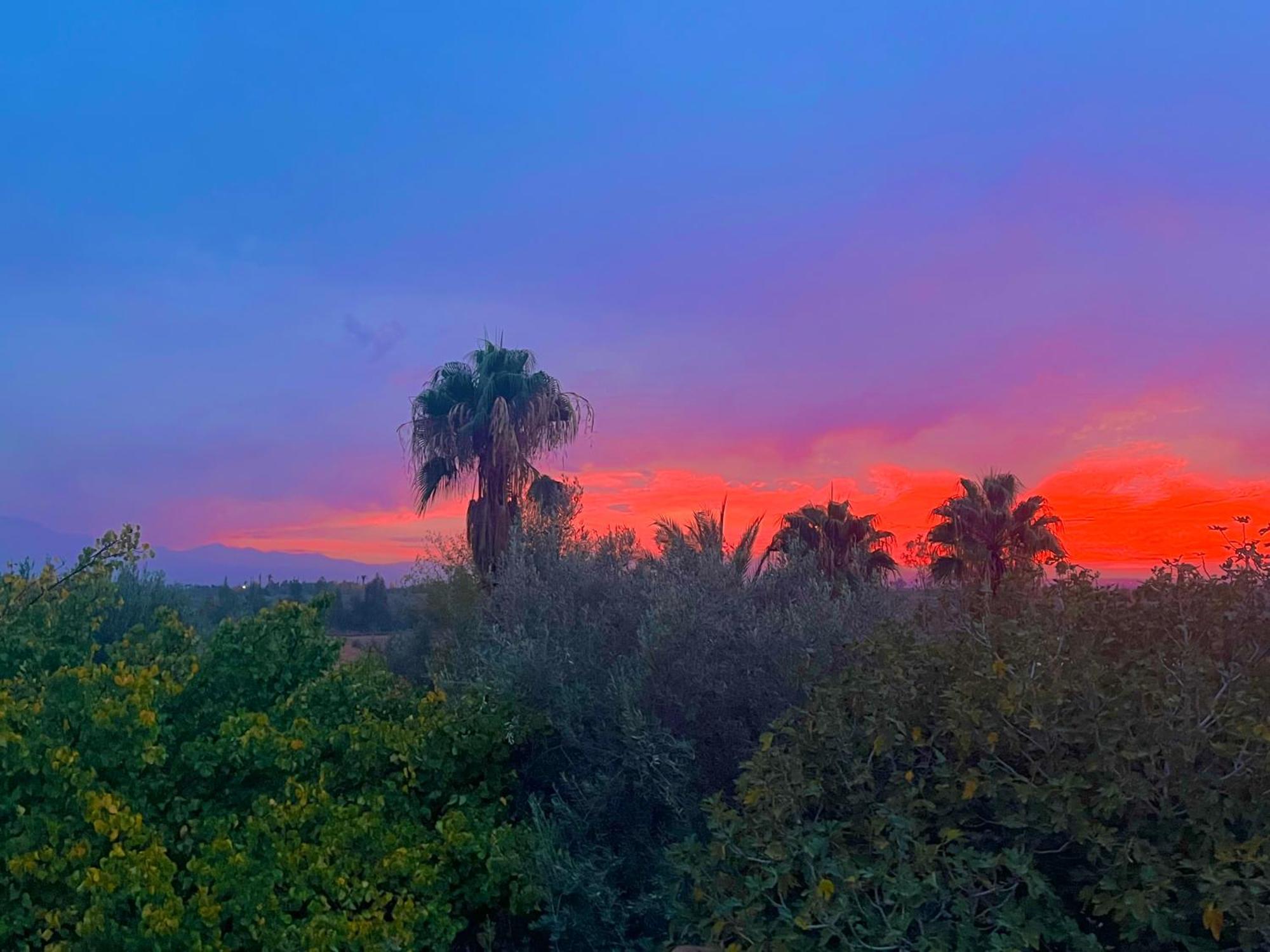 Le Domaine De Carole Marrakech Bed and Breakfast Douar Akkara Buitenkant foto
