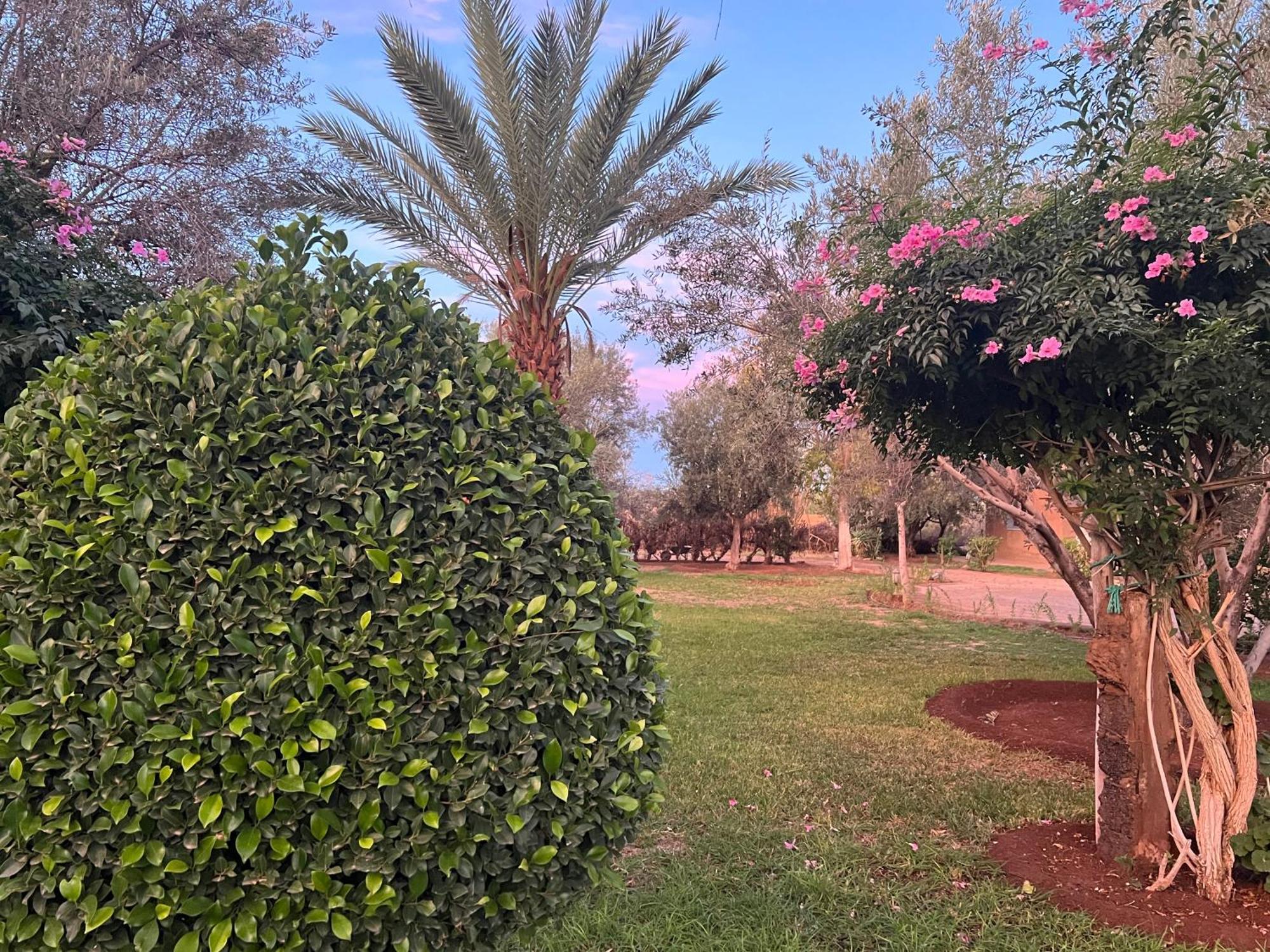 Le Domaine De Carole Marrakech Bed and Breakfast Douar Akkara Buitenkant foto