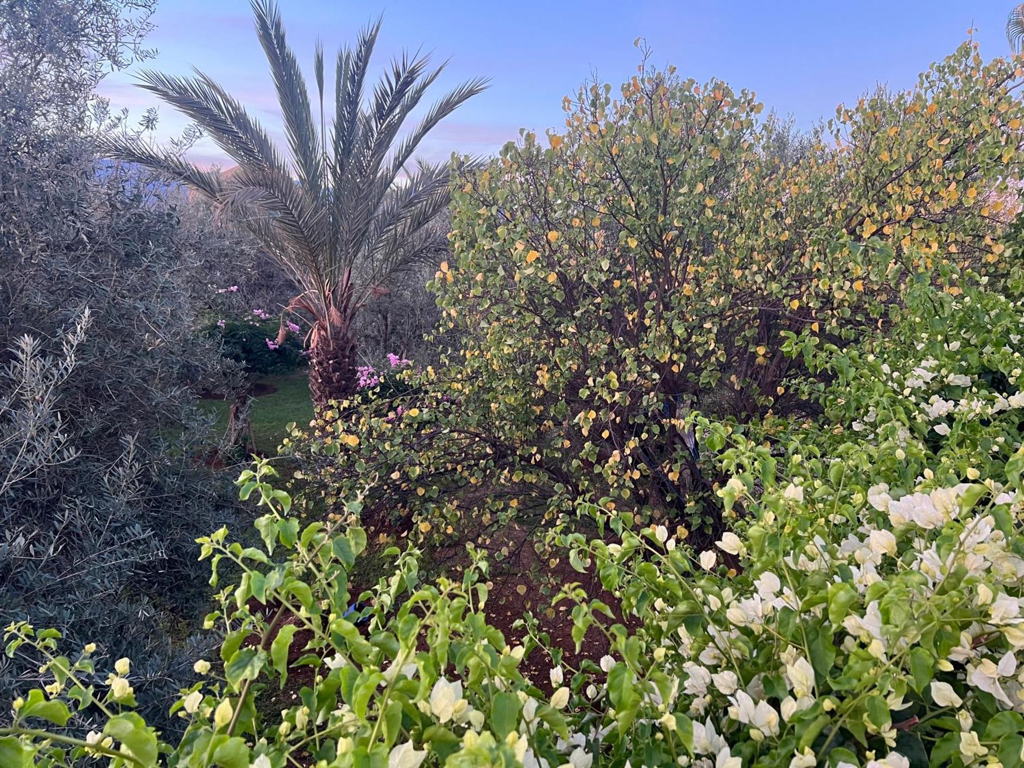 Le Domaine De Carole Marrakech Bed and Breakfast Douar Akkara Buitenkant foto