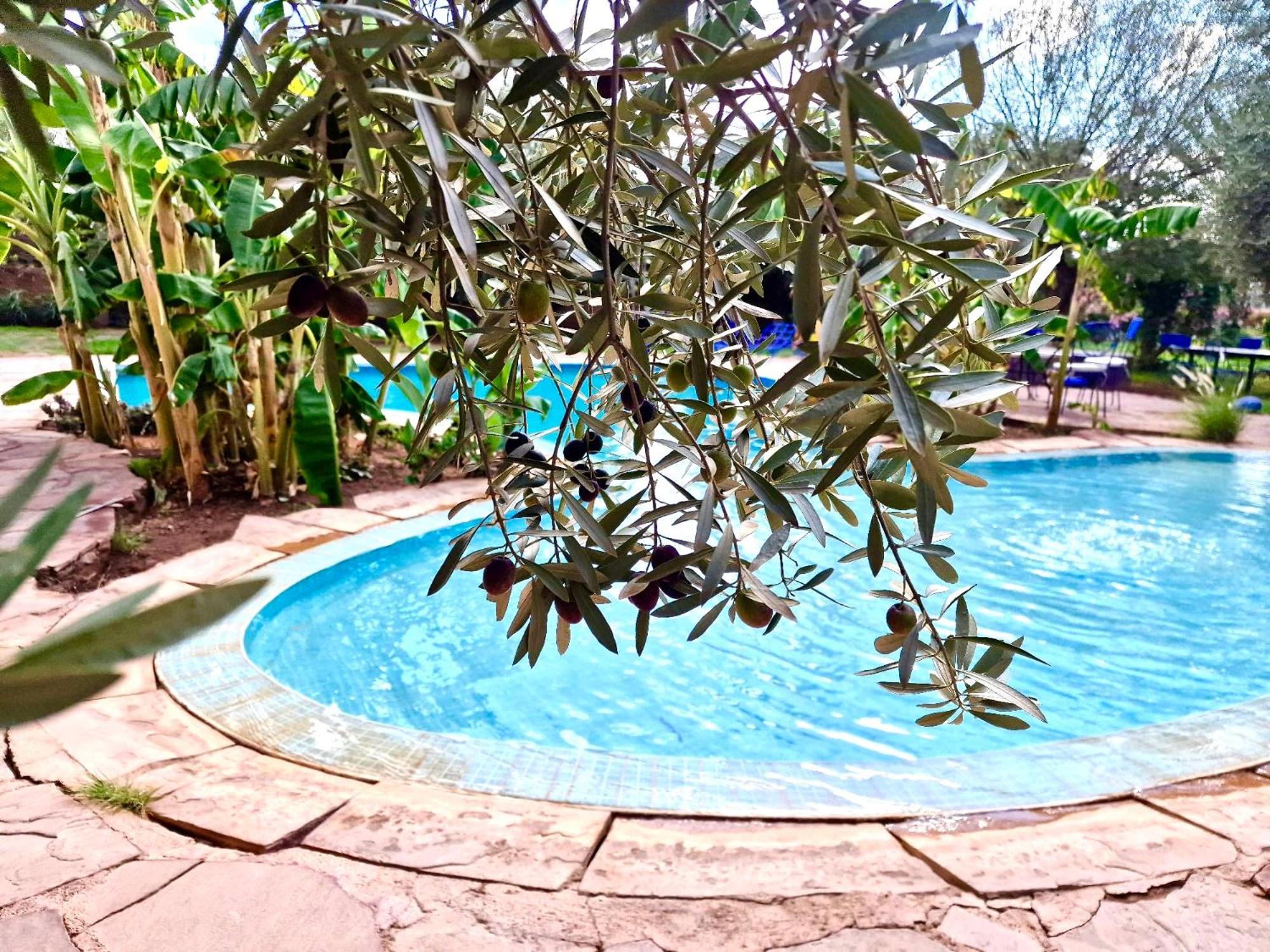 Le Domaine De Carole Marrakech Bed and Breakfast Douar Akkara Buitenkant foto