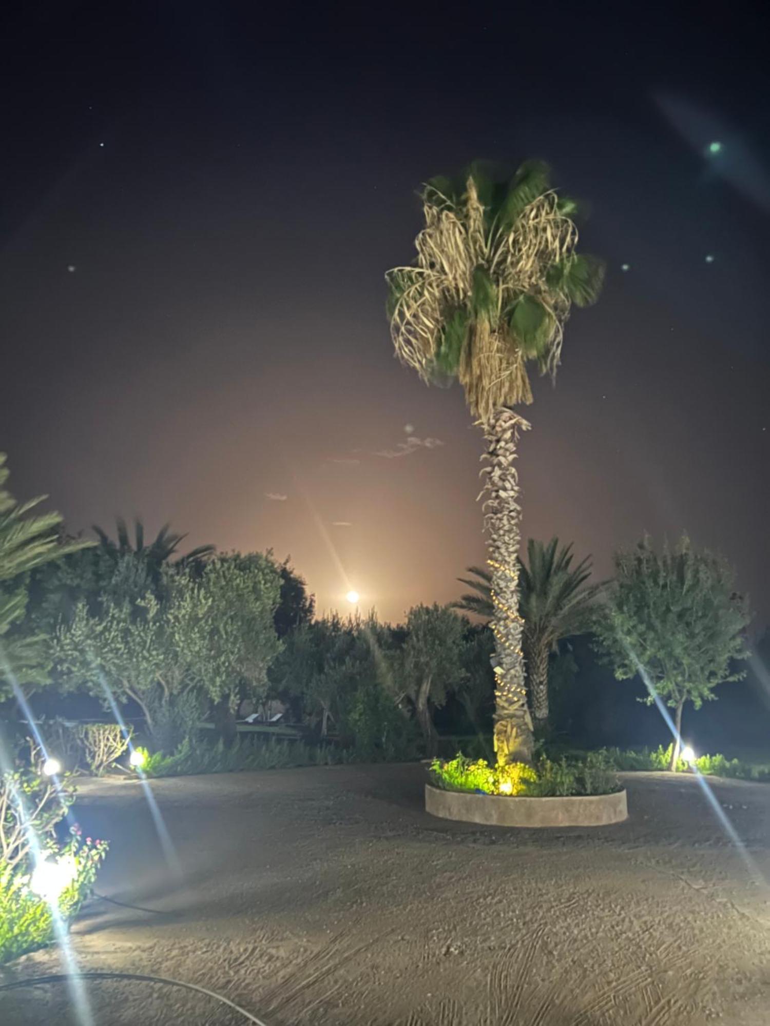 Le Domaine De Carole Marrakech Bed and Breakfast Douar Akkara Buitenkant foto